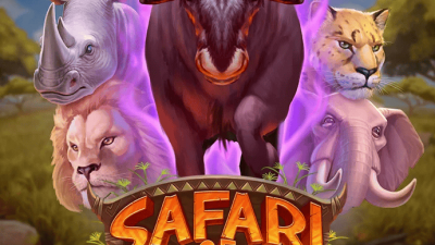 Safari of Wealth