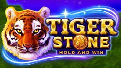 TIGER STONE