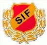 Skoftebyns IF