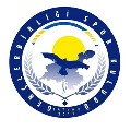 Tatvan Genclerbirligi Spor