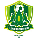 Shandong Tengding