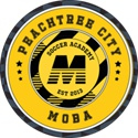 피치트리 시티 MOBA