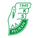 Pelikan Lowicz