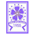 Gebzespor