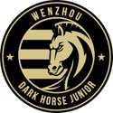 Wenzhou Professional
