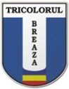 Tricolorul Breaza