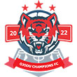 Ojodu City Youth