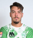 Mihai Neicutescu