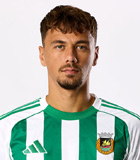 Dario Spikic