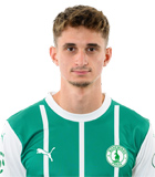 Dominik Plestil