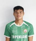 Tran Dinh Minh Hoang