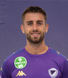 Milan Majer