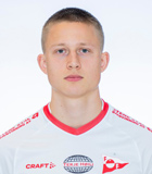 Brage Skaret