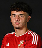 Dylan Mitchell