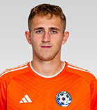 Dominik Kriz