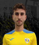 Vlad Iuliu Prejmereanu
