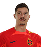David Raul Miculescu