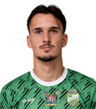 Luka Cveticanin