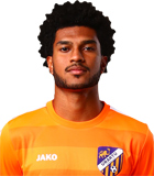 Victor Hugo Coelho Vieira,Vitinho