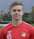 Karl Martin Rolstad