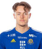 Ludvig Navik