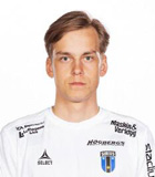 Hannes Sveijer