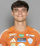 Luka Maric