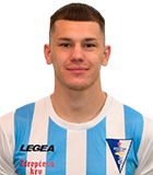 Nemanja Krsmanovic