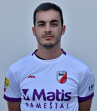 Igor Petrovic