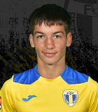 Alin Botogan