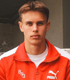 Ludvig Henriksen