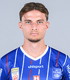 Alexander Briedi