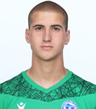 Nikola Milicevic