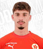 Ivan Saric