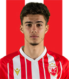 Nikola Mituljikic