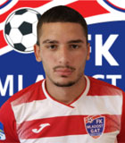 Nikola Pavlica
