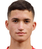Milan Gvozdenovic