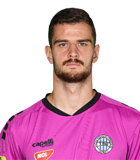 Veljko Ilic