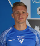 Radek Lehovec