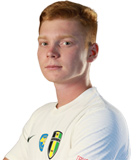 Artem Kulakovskyi