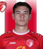 Matija Gluscevic