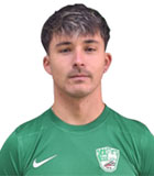 Gianluca Colla