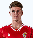 Zan Jevsenak