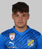 Denis Dizdarevic