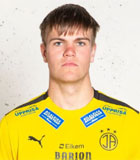 Breki Thor Hermannsson