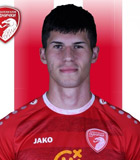 Vladimir Tomovic