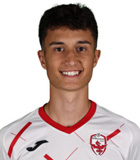 Matija Mitrovic