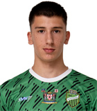 Vukasin Radosavljevic