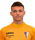 Marin Dulic