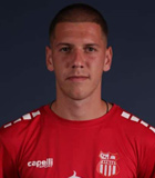 Luka Milojevic